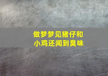 做梦梦见猪仔和 小鸡还闻到臭味